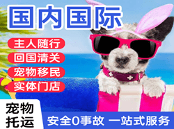 扬州泰州航空运输国际宠物托运 【国